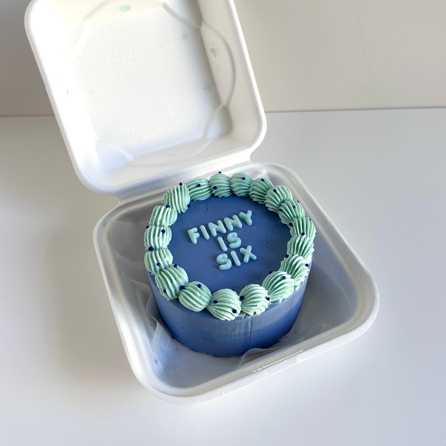 Retro Bento Cake